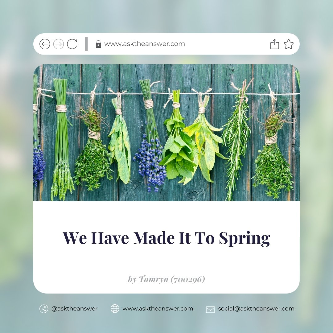 We Have Made It To Spring